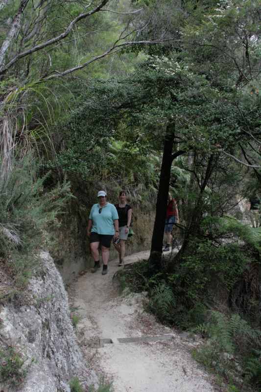 Nieuw-Zeeland 2011 - 1046